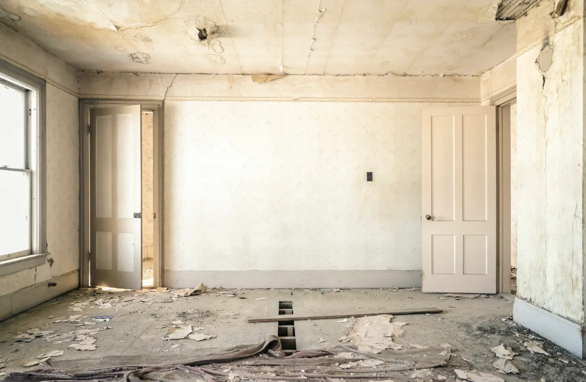 Waste disposal crew managing a cleanout project in Loudon